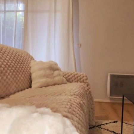 Les Grenats Apartment กงฟล็องส์-แซงโตโนรีน ภายนอก รูปภาพ