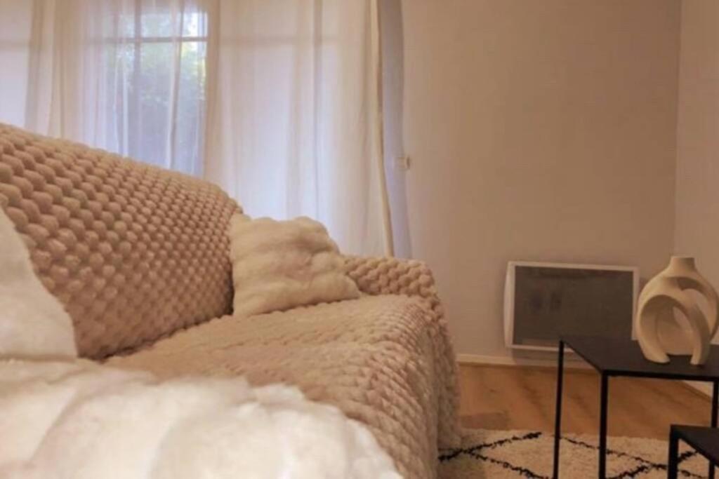 Les Grenats Apartment กงฟล็องส์-แซงโตโนรีน ภายนอก รูปภาพ